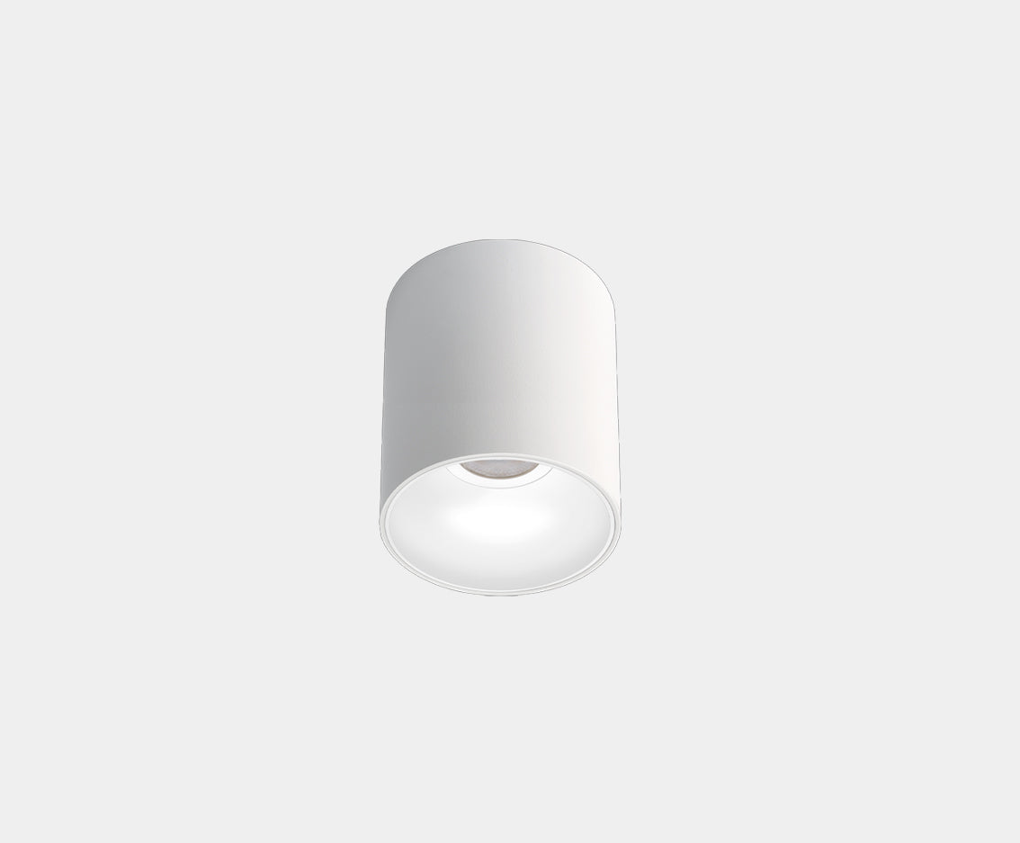 Buddy Surface