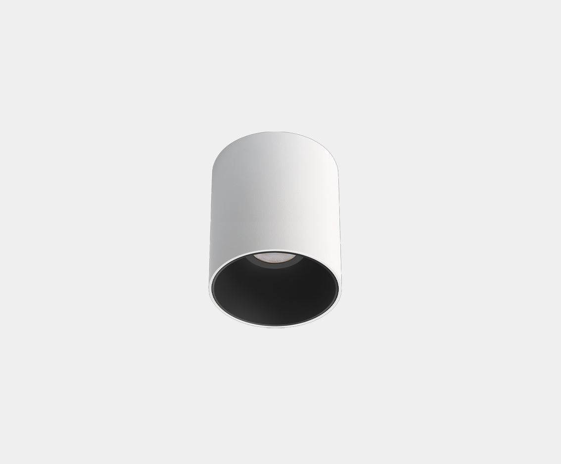 Buddy Surface