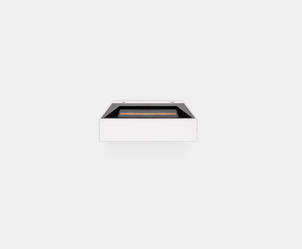 Rec Asymmetric Mini