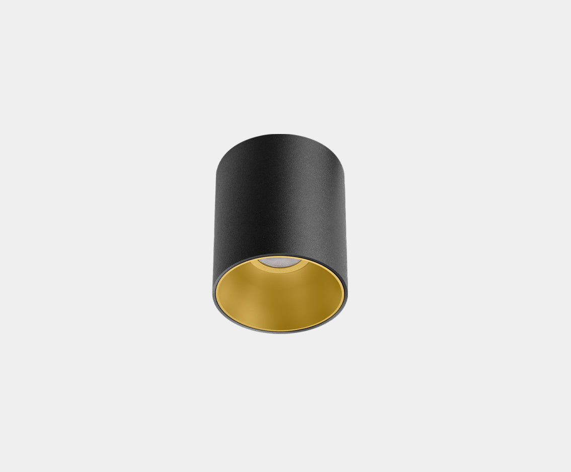Buddy Surface